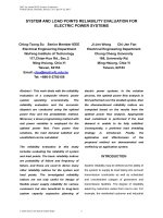 System and load points reliability evaluation for electric power systems 