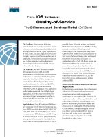 Tài liệu The Differentiated Services Model pptx