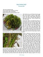 Tài liệu RAU CHOẠI CHỘT ppt