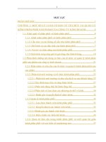 Hoàn thiện tổ chức và quản lý kênh phân phối sản phẩm  của công ty TRIUMPH international (vietnam) ltd trên thị trường nội địa 