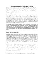 Tài liệu Nguyên nhân rủi ro trong NHTM docx