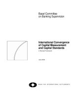Tài liệu International Convergence of Capital Measurement and Capital Standards pptx