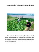 Tài liệu Phòng chống rét cho rau màu vụ đông ppt
