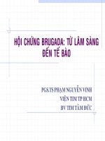 Tài liệu Bài giảng Hội chứng Brugada: Từ lâm sàng đến tế bào docx