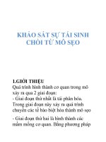 Tài liệu khảo sát sự tái sinh từ mô sẹo docx