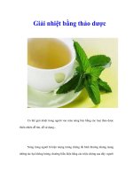 Tài liệu Giải nhiệt bằng thảo dược docx