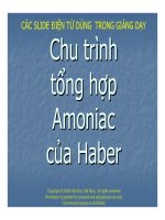 Tài liệu Chu trình tổng hợp Amoniac của Haber doc