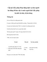 Tài liệu Cấp lại Giấy phép Hoạt động dịch vụ đưa người lao động đi làm việc ở nước ngoài khi Giấy phép bị mất, bị cháy, bị hư hỏng pdf