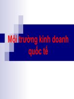 Tài liệu Môi trường kinh doanh quốc tế docx