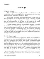 Tài liệu ADN tái tổ hợp pptx