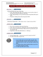 Tài liệu Chương trình nâng cao năng lực toàn diện Quản lý ODA - Bộ Kế hoạch và Đầu tư pdf