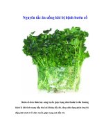 Tài liệu Nguyên tắc ăn uống khi bị bệnh bướu cổ ppt