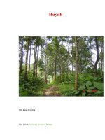 Tài liệu Huỷnh doc