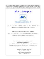 Tài liệu Bản cáo bach Ngân hàng Nam Á pptx