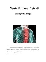 Tài liệu Nguyên tố vi lượng có gây hội chứng đau lưng? ppt