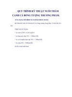 Tài liệu QUY TRÌNH KỸ THUẬT NUÔI THÂM CANH CÁ BỐNG TƯỢNG THƯƠNG PHẨM. (ỨNG DỤNG MÔ pptx