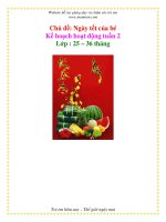 Tài liệu Kế họach họat động tuần 2 - Ngày tết của bé - Khối nhà trẻ pdf