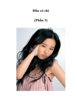 Tài liệu Đầu có chí (Phần 3) docx