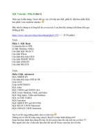 Tài liệu SQL Pro Tutorial pptx