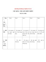 Tài liệu CHỦ ĐIỂM : THẾ GIỚI THIÊN NHIÊN - KẾ HOẠCH HOẠT ĐỘNG TUẦN 18 - Thứ 3 docx