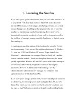 Tài liệu Using Samba-1. Learning the Samba- P1 doc