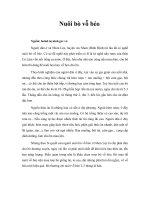 Tài liệu Nuôi bò vỗ béo docx