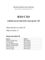 BÁO CÁO CHÍNH SÁCH THƯƠNG MẠI QUỐC TẾ (3)