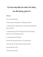 Tài liệu Gia hạn năng định cho nhân viên thông tin, dẫn đường, giám sát ppt