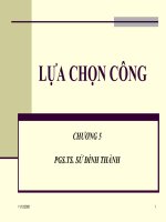 Tài liệu Tài chính công_ Lựa chọn công doc