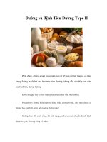 Tài liệu Đường và Bệnh Tiểu Đường Type II doc