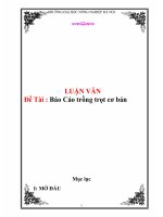 Tài liệu Báo Cáo trồng trọt cơ bản docx