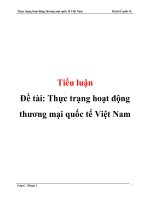 Đề tài thực trạng hoạt động thương mại quốc tế việt nam 