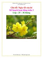 Tài liệu Kế họach họat động tuần 3 - Ngày tết của bé - Khối nhà trẻ doc