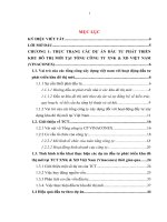 Tình hình triển khai thực hiện các dự án đầu tư phát triển khu đô thị mới tại tổng công ty XNK&XD việt nam (vinaconex) 