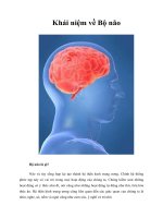 Tài liệu Khái niệm về Bộ não doc