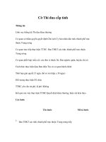 Tài liệu Cờ Thi đua cấp tỉnh pdf