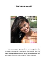 Tài liệu Tóc bồng trong gió pptx