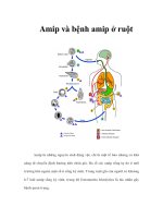Tài liệu Amip và bệnh amip ở ruột pptx