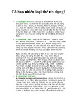 Tài liệu Có bao nhiêu loại thẻ tín dụng? pdf