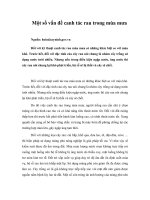 Tài liệu Một số vấn đề canh tác rau trong mùa mưa pptx