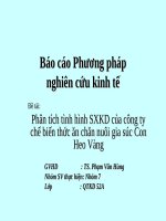 Tài liệu Phân tích tình hình SXKD của công ty chế biến thức ăn chăn nuôi gia súc Con Heo Vàng ppt