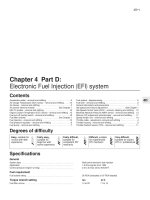 Tài liệu Electronic Fuel Injection (EFI) system doc