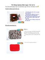 Tài liệu Túi đựng laptop hiệu ngựa vằn tai to pptx