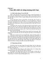 Tài liệu Chương 1: Trao đổi chất và năng lượng sinh học docx