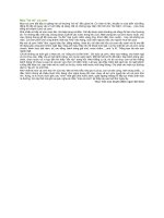 Mùa lai rai cá cơm