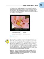 Tài liệu Canon EOS Rebel XS/1000D Fo .Dummies P2 pptx