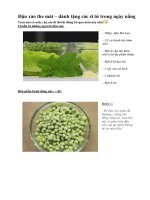 Tài liệu Đậu xào the mát – dành tặng các sĩ tử trong ngày nắng pdf