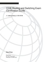 Tài liệu CCIE Routing and Switching Exam Certiﬁcation Guide P1 pptx