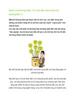 Tài liệu Quản trị thương hiệu: Từ một đến một chùm tia laser(phần 1) ppt