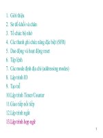 Tài liệu Lập trình hợp ngữ_chương 13 docx